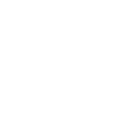 車輛檢測圖標